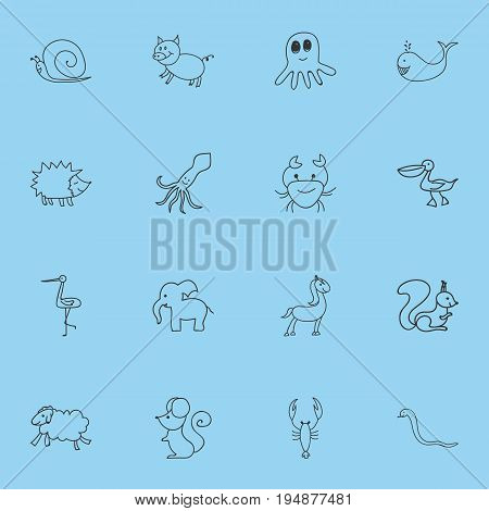 Set Of 16 Editable Zoology Icons. Includes Symbols Such As Pelican, Rat, Slug And More. Can Be Used For Web, Mobile, UI And Infographic Design.