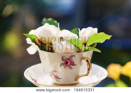 white roses in the cup