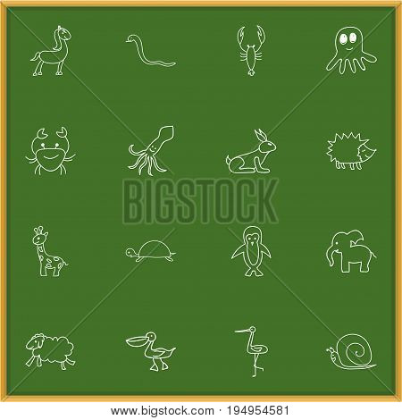 Set Of 16 Editable Zoology Icons. Includes Symbols Such As Polar Bird, Rabbit, Squid And More. Can Be Used For Web, Mobile, UI And Infographic Design.