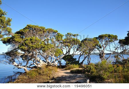 Küste Landschaft in Flinders Bay in western australia