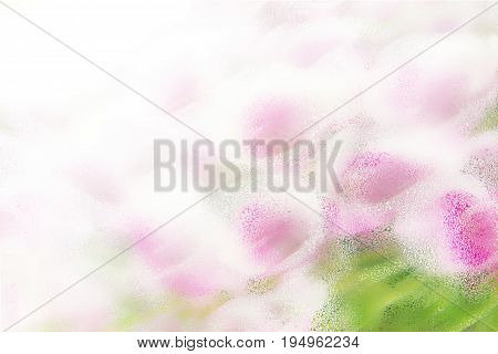 Abstract floral background beautiful flowers collage colorful pattern
