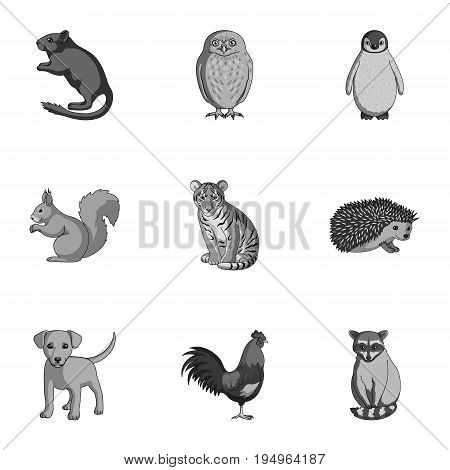 Deer, tiger, cow, cat, rooster, owl and other animal species.Animals set collection icons in outline style vector symbol stock illustration .
