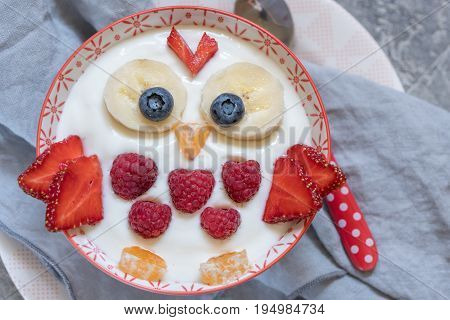 Kids funny breakfast yogurt with fruits and berries look like cute owl