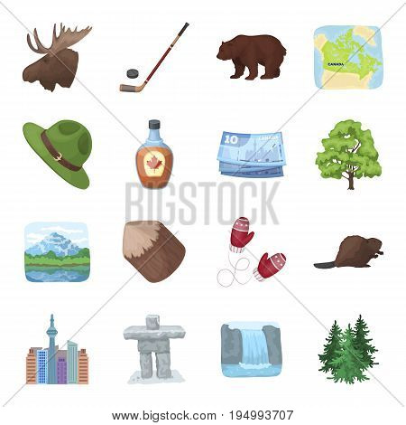 Wild animal, deer, horns and other Canada elements. Canada set collection icons in cartoon style vector symbol stock illustration.