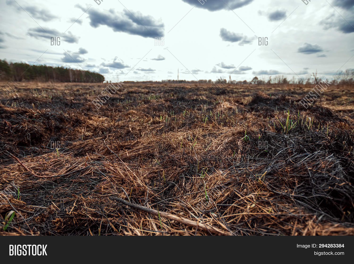 Scorched Earth, Spring Image & Photo (Free Trial) | Bigstock