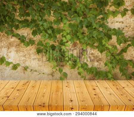 Empty Wooden Table Over Grunge Wall With Ivy