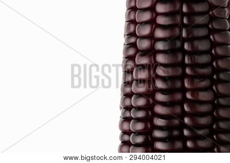 Closeup Purple Corn On White Background. Copy Space For Text Or Articles. Concepts Of Healthy Food.