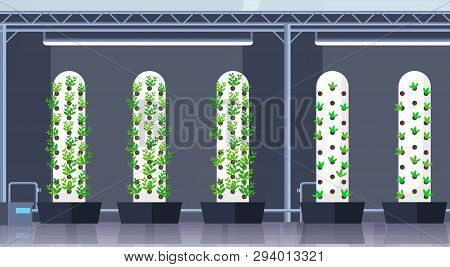Modern Organic Hydroponic Vertical Farm Interior Agriculture Smart Farming System Concept Green Plan