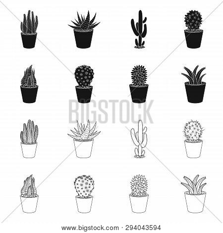 Vector Illustration Of Cactus And Pot Icon. Set Of Cactus And Cacti Vector Icon For Stock.