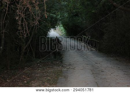 Agios Nikolaos Park Naousa Greece Europe
