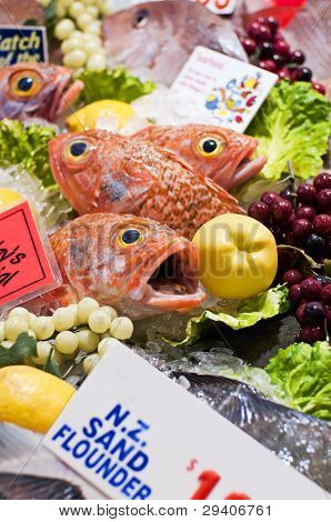 생선 시장에서 바다 Pearch