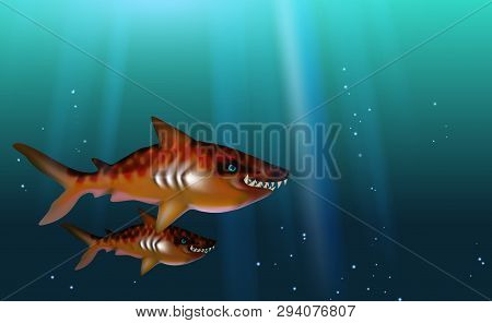Blue Background Tiger Sharks Wild Predator Toothy, Hungry And Angry With Big Teeth. Small Flock Fish