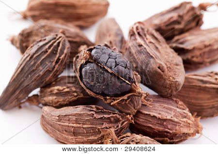 Black Cardamom