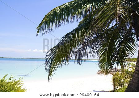 Palm Beach di Cayo Santa Maria.