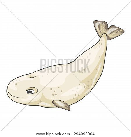 White Whale Icon. Cartoon Of White Whale Vector Icon For Web Design Isolated On White Background
