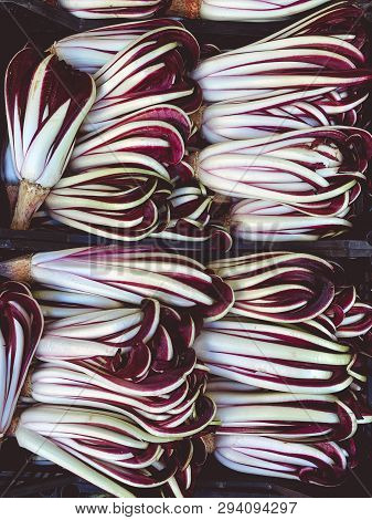 Radicchio Tardivo, Italian Red Chicory, Red Salad Healthy Vegetables On The Market Top View.