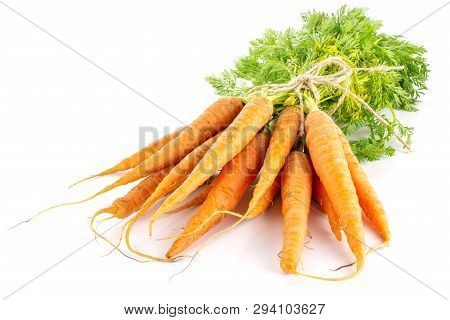Lot Of Whole Raw Fresh Orange Carrot With Greens Tied By Jute Isolated On White Background