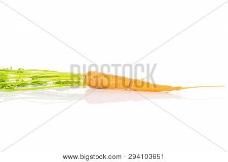 One Whole Fresh Orange Carrot With Greens Isolated On White Background