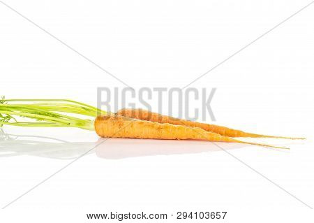 Group Of Two Whole Fresh Orange Carrot With Greens Isolated On White Background