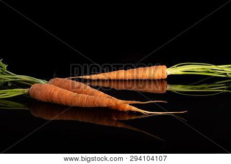 Group Of Three Whole Fresh Orange Carrot With Greens Isolated On Black Glass