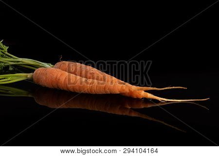 Group Of Two Whole Fresh Orange Carrot With Greens Isolated On Black Glass