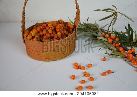 Branch Of Sea Buckthorn Berries With Leaves. Clipping Paths, Shadow Separated, Infinite Depth Of Fie