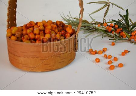 Branch Of Sea Buckthorn Berries With Leaves. Clipping Paths, Shadow Separated, Infinite Depth Of Fie