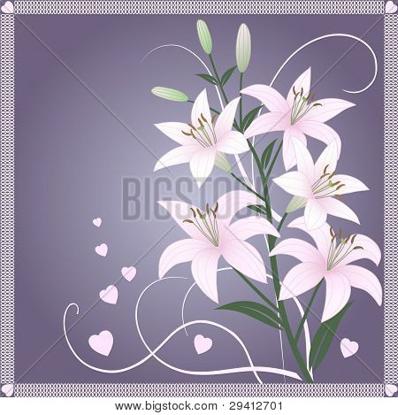 Beautiful spring wallpaper with lily flowers