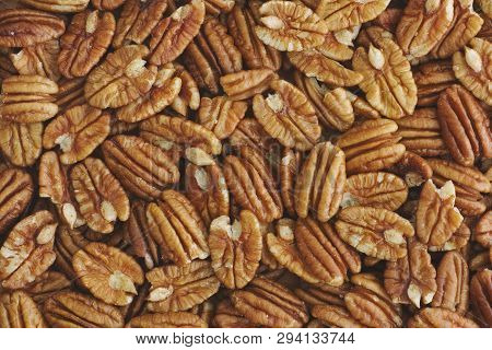 Lots Of Raw Organic Pecan Nuts. Pecan Background.