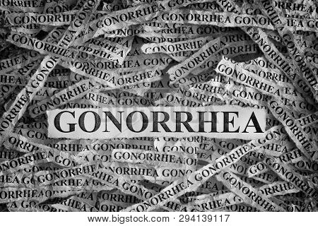 Gonorrhea. Torn Pieces Of Paper With The Words Gonorrhea. Concept Image. Black And White. Close Up.