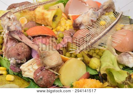 Recycling For Compost Fruits, Vegetagles, Fish, Egg And Bones