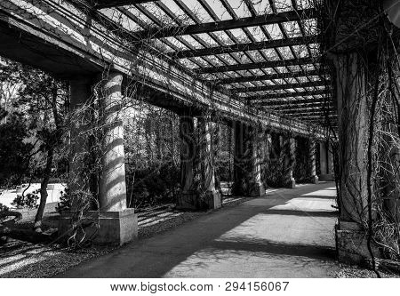 Old Black And White Centennial Hall Pergola