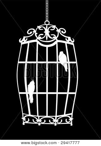 검은 배경에 고립 된 새 장에 새 그림