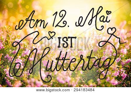 Erica Flower Field, Calligraphy Muttertag Means Happy Mothers Day