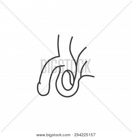Male Reproductive System Related Vector Line Icon. Isolated On White Background. Editable Stroke.