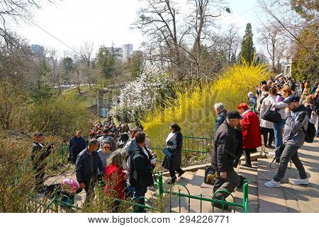 Kyiv, Ukraine - April 7, 2019: People Enjoy Sunny Sunday And First Spring Blossoms At The Fomin Bota