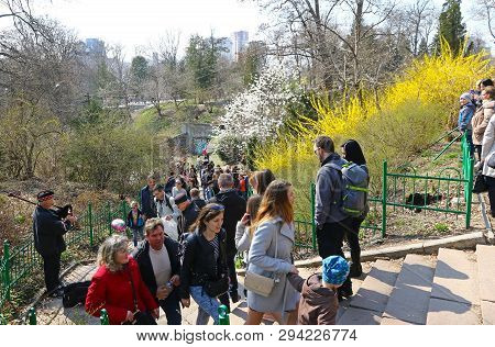 Kyiv, Ukraine - April 7, 2019: People Enjoy Sunny Sunday And First Spring Blossoms At The Fomin Bota