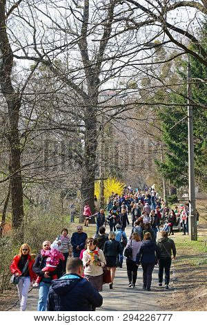 Kyiv, Ukraine - April 7, 2019: People Enjoy Sunny Sunday And First Spring Blossoms At The Fomin Bota