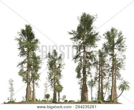 Forest Of The Mesozoic Era Isolated On White Background 3d Illustration