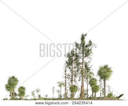 Forest Of The Mesozoic Era Isolated On White Background 3d Illustration