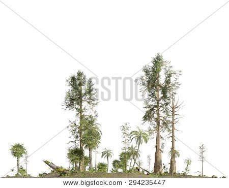 Forest Of The Mesozoic Era Isolated On White Background 3d Illustration