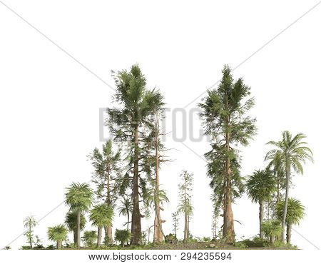 Forest Of The Mesozoic Era Isolated On White Background 3d Illustration