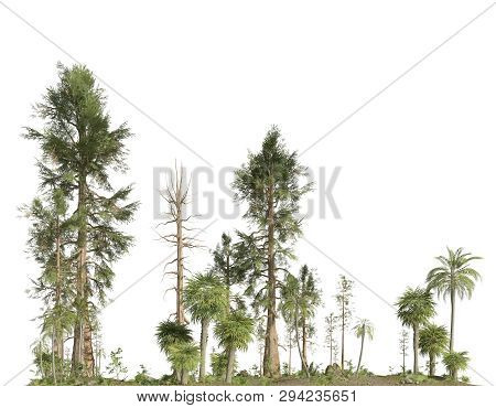 Forest Of The Mesozoic Era Isolated On White Background 3d Illustration
