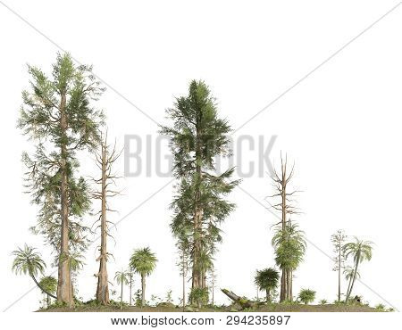 Forest Of The Mesozoic Era Isolated On White Background 3d Illustration