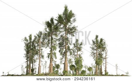 Forest Of The Mesozoic Era Isolated On White Background 3d Illustration