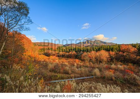 Landscape Of Trees Turning Color In Autumn With High Mountain - Senboku, Akita, Japan