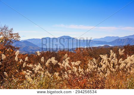 Lake Tazawa With Grass Flower In Autumn - Senboku, Akita, Japan