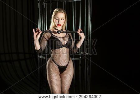 Woman In An Erotic Costume Net, In Her Hands A Ball Gag.