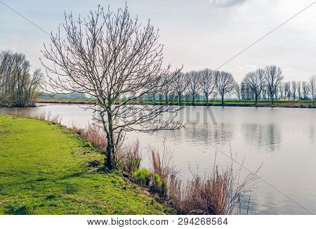 Backlit Image Of A Tree With Bare Branches On The Edge Of A Lake. The Phot Was Taken Near The Villag