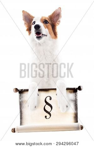 Dog Holds A Scroll With The Paragraph Sign, Isolated In Front Of White, Animal Protection Law And Do